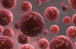 Can hantavirus spread from person to person?