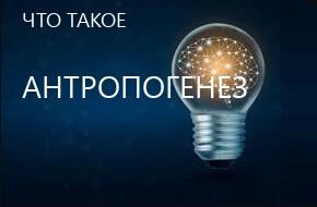 что такое Антропогенез